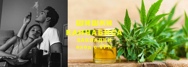 ГАЛЛЮЦИНОГЕННЫЕ ГРИБЫ Баксан