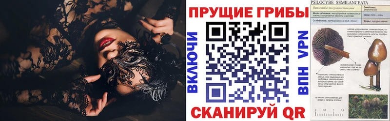 Псилоцибиновые грибы MAGIC MUSHROOMS  купить  сайты  Заинск 